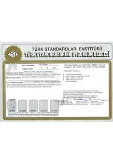 TSE